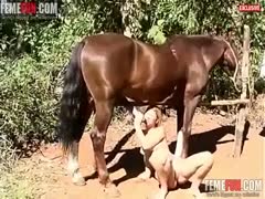 In a complete outdoor special, a tight amateur blonde blows horse's cock.